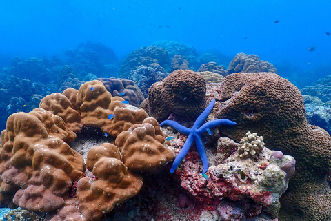 Z Phuket: wycieczka z rurką na wyspy SurinZ Phuket: wycieczka snorkelingowa na wyspy Surin