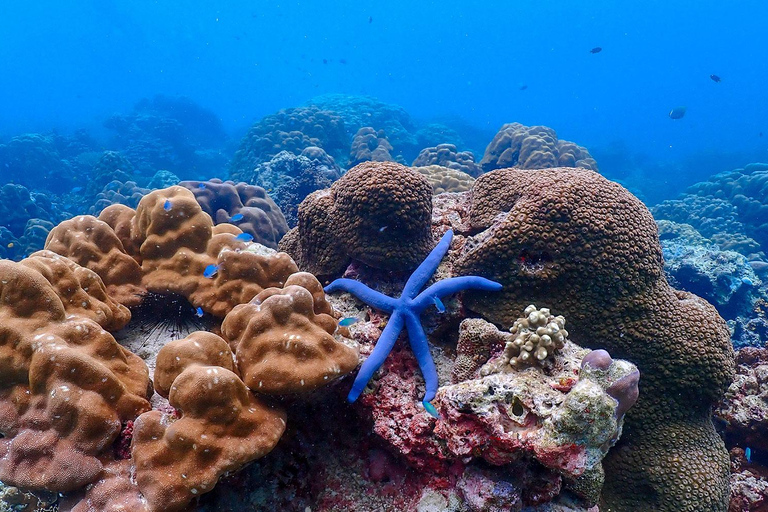 Z Phuket: wycieczka z rurką na wyspy SurinZ Phuket: wycieczka snorkelingowa na wyspy Surin