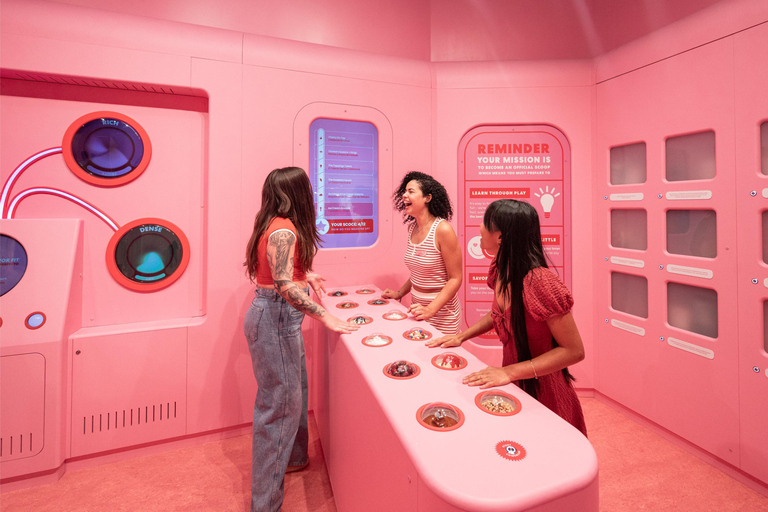 Miami: Museum of Ice Cream Entry TicketVIP-Eintrittskarte