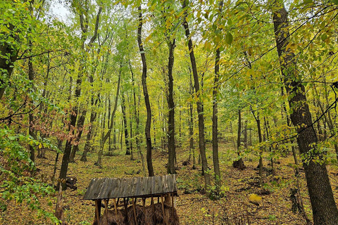 Chișinau: Plaiul Fagului Hike, Honey Tasting, & Monastery