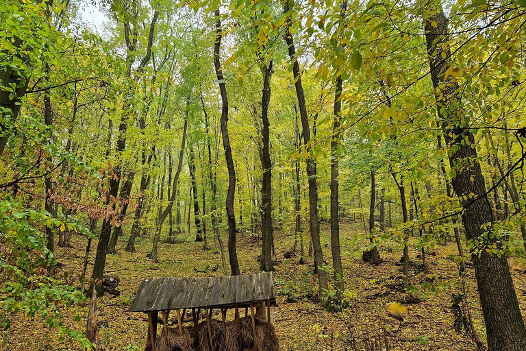 Chișinau: Plaiul Fagului Hike, Honey Tasting, & Monastery