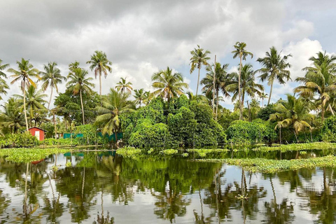 Canoe Ride through Mangroves in Kumbalangi From Cochin