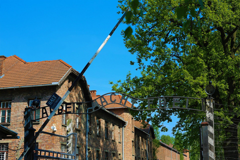 Vanuit Krakau: Auschwitz Museum en Wieliczka-zoutmijn