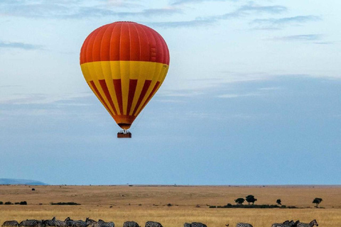 Safari de nuit dans le parc national d'Amobeli