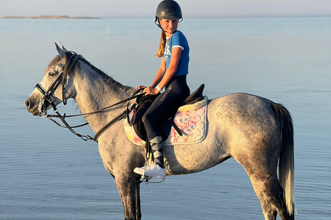 Sea & Desert Horse Riding Tour & Optional Private Photoshoot 2-Hour Horse Ride — Without Transfer (Entry Ticket Only)