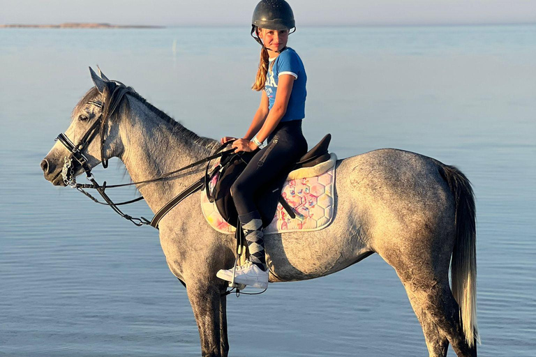 Sea & Desert Horse Riding Tour & Optional Private Photoshoot 2-Hour Horse Ride — Without Transfer (Entry Ticket Only)