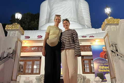 CMB/Negombo: Sigiriya, Kandy & Ella Private Tour with Driver Private Van with Driver – Up to 50 km
