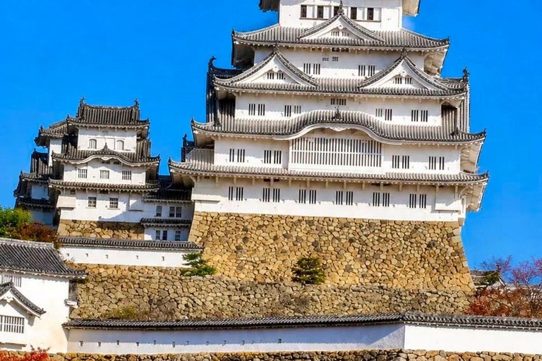 Kyoto & Osaka: Private Customizable Day Trip with Guide