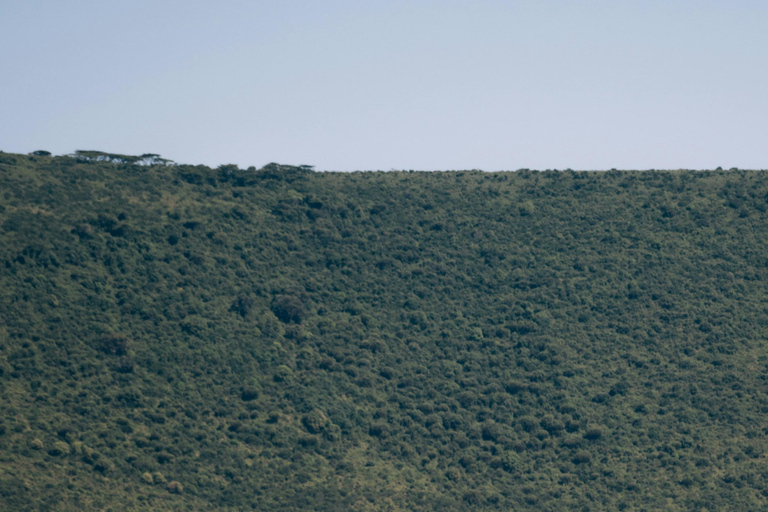 Sansibar: 3-tägige Safari nach Tarangire, Ngorongoro und Arusha