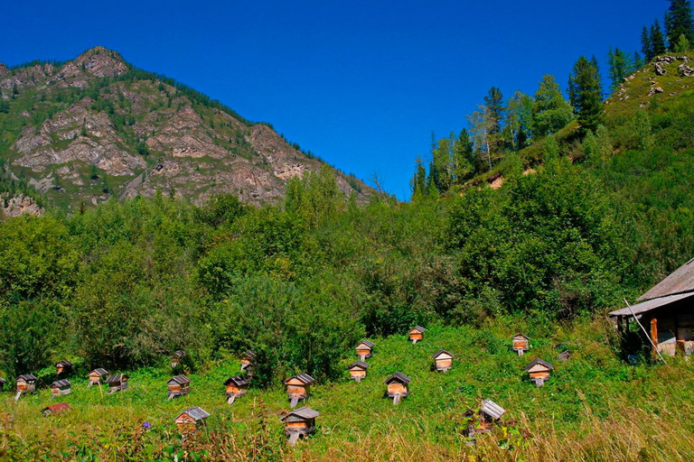 From Tbilisi to: Gudauri and Kazbegi Day Trip including JEEP