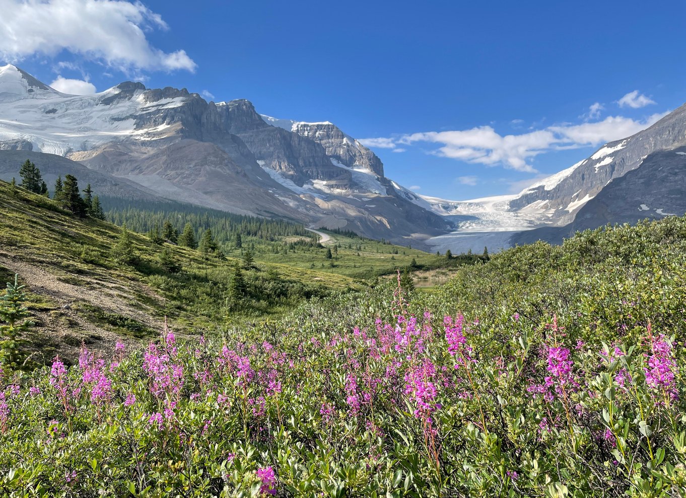 Columbia Icefield: Guidet gletsjer-vandring