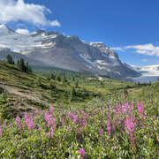 Columbia Icefield: Geführte Gletscherwanderung