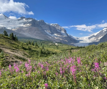 Columbia Icefield: Guided Glacier Hike