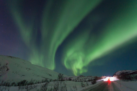 Tromsø:Tour de la aurora boreal en minibús por Tromsø