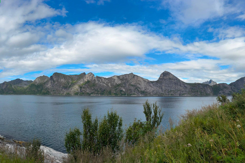Tromso: SENJAtional: Sommaroy and Senja (7 people max) Tromso: One Day Trip to Senja