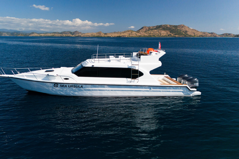 Labuan Bajo: Komodo National Park Adventure with Speedboat