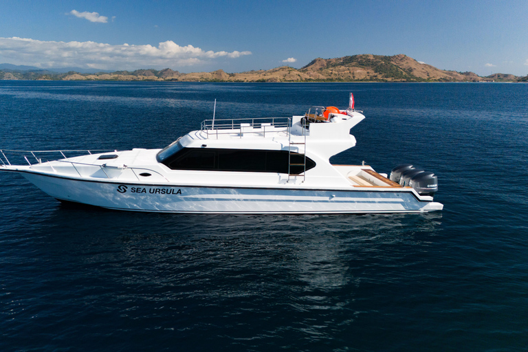 Labuan Bajo: Komodo National Park Adventure with Speedboat