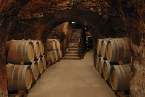 Madrid Region Wineries: Guided Tour and Tastings