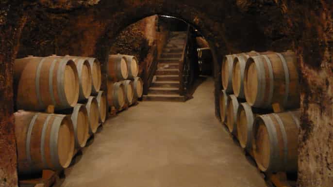 madrid region wineries guided tour and tastings