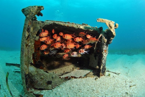 Half-Day 2-Tank St. Martin Dive Voyages pour les plongeurs certifiés