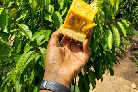 Uganda: Baganda Culture Day Tour with Lunch and Transfers