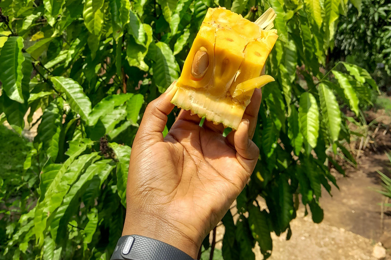 Uganda: Baganda Culture Day Tour with Lunch and Transfers