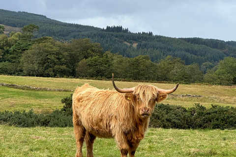 Edynburg: Glencoe, Glenfinnan i Scottish Highlands Day Tour