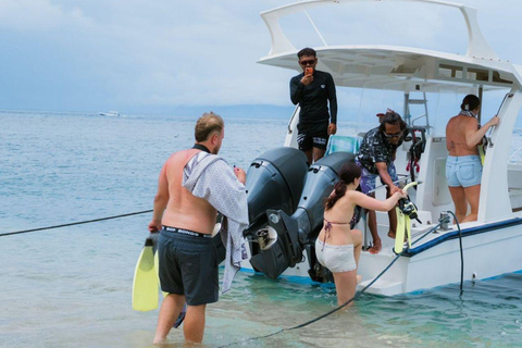 Nusa Penida: Manta Ray Snorkeling & Turtle Sanctuary
