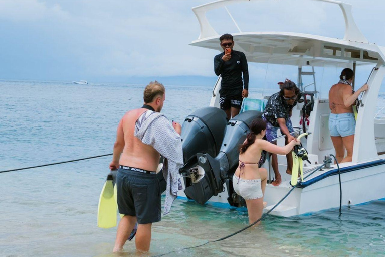 Nusa Penida: Manta Ray Snorkeling & Turtle Sanctuary