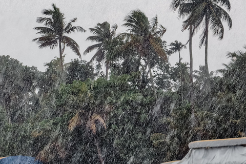 Alleppey: Kajakpaddling och båttur med Shikkara med lokal måltid