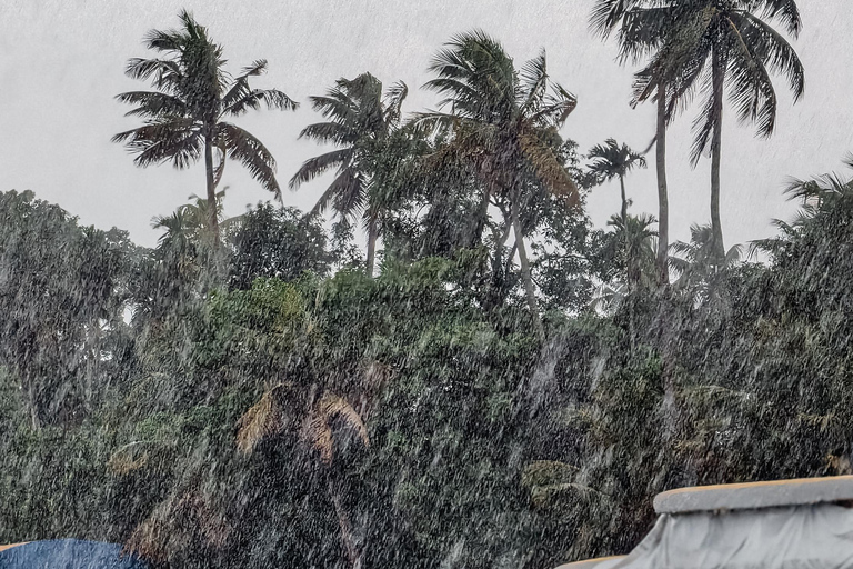 Alleppey: Kajakpaddling och båttur med Shikkara med lokal måltid