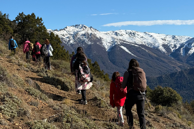 Guided Trek to Cerro Ventana | Views of Lake Gutiérrez | Bariloche Guided Hike to Cerro Ventana | Views of Lake Gutiérrez | Bariloche
