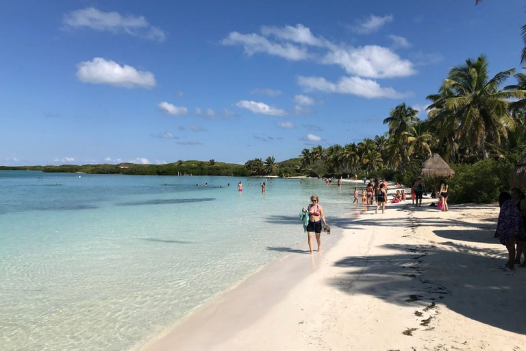 Van Cancun of Riviera Maya: reis naar Isla Contoy en Isla MujeresTour vanuit Playa del Carmen en Puerto Morelos