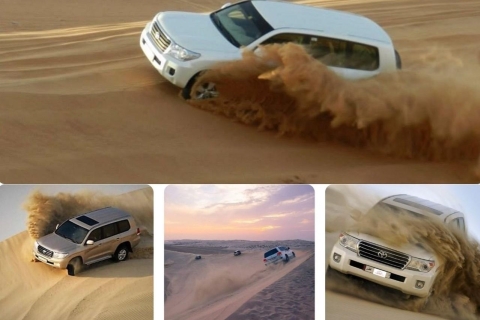 Medio día de Safari por el Desierto, Dune bashing, Halcones y Mar InteriorSafari por el desierto: Medio Día, Dune bashing, Halcones y Mar Interior