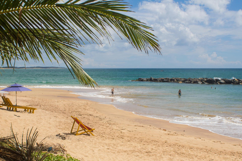 Punta del Este: Privétour te voet door de Joodse geschiedenis van de oude stadPunta del Este: Privétour te voet door de oude Joodse wijk