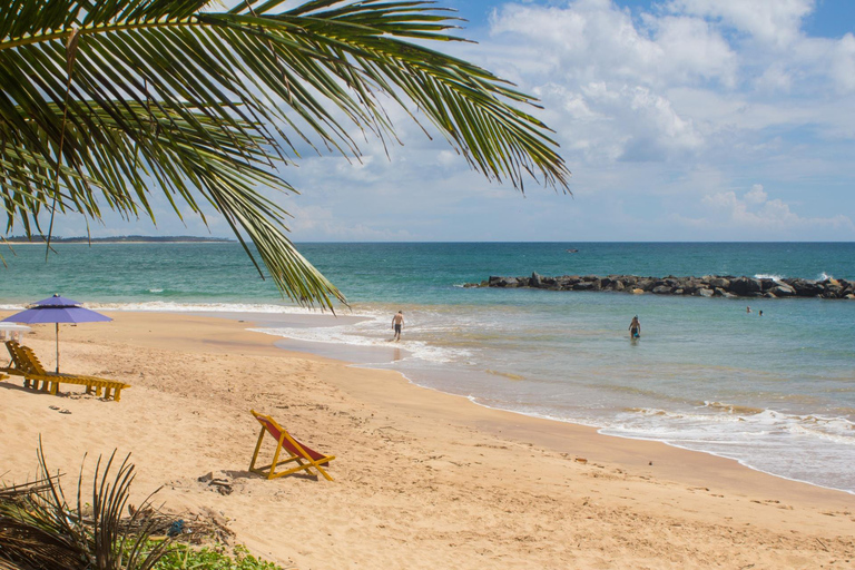 Punta del Este: Privétour te voet door de Joodse geschiedenis van de oude stadPunta del Este: Privétour te voet door de oude Joodse wijk