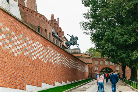 Cracovie : visite guidée de la colline du WawelVisite de groupe en anglais