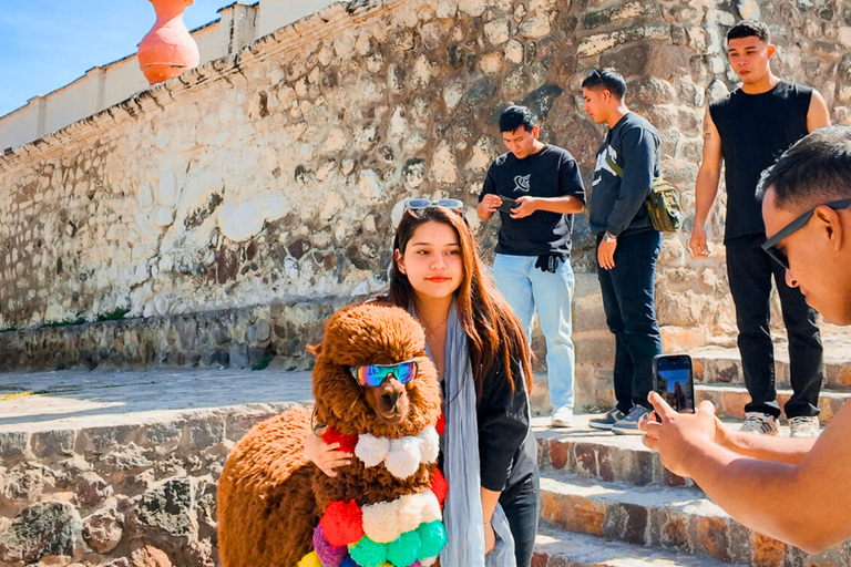 Arequipa: 2-Day Colca Valley Tour with Puno Transfer