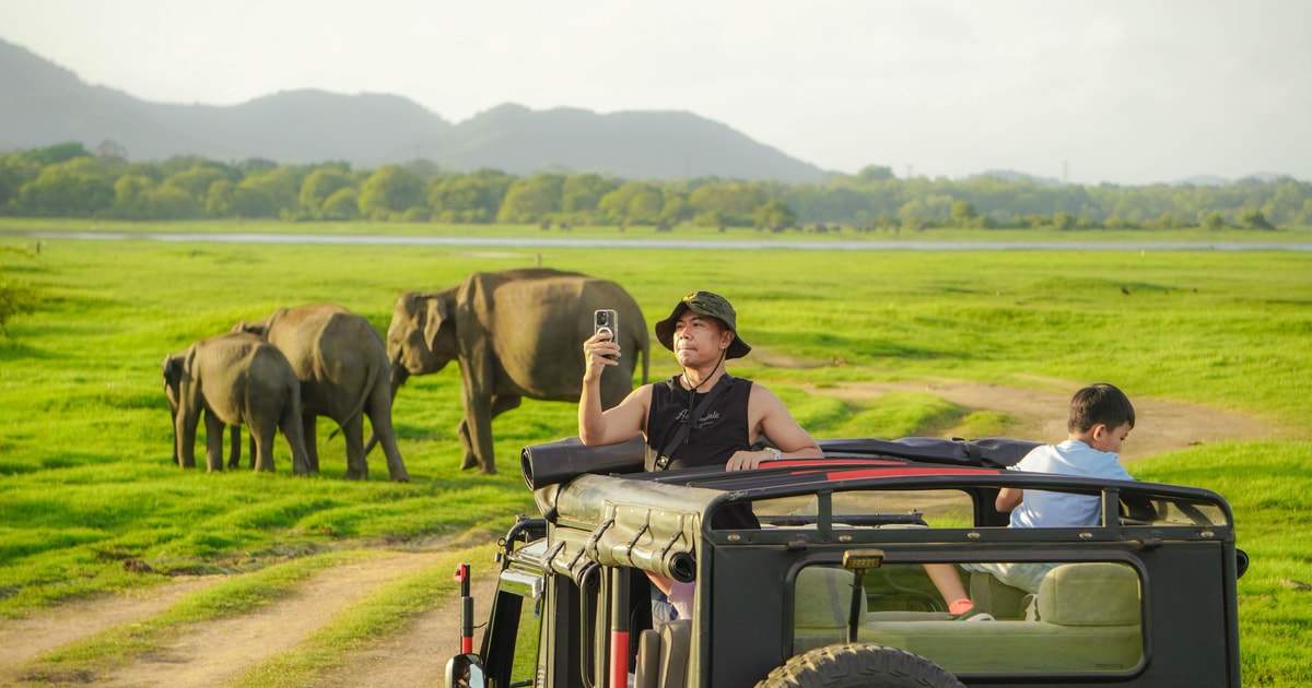 Minneriya National Park: Private Wild Elephant Safari