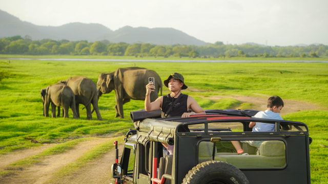 From Sigiriya: Minneriya National Park Evening Safari