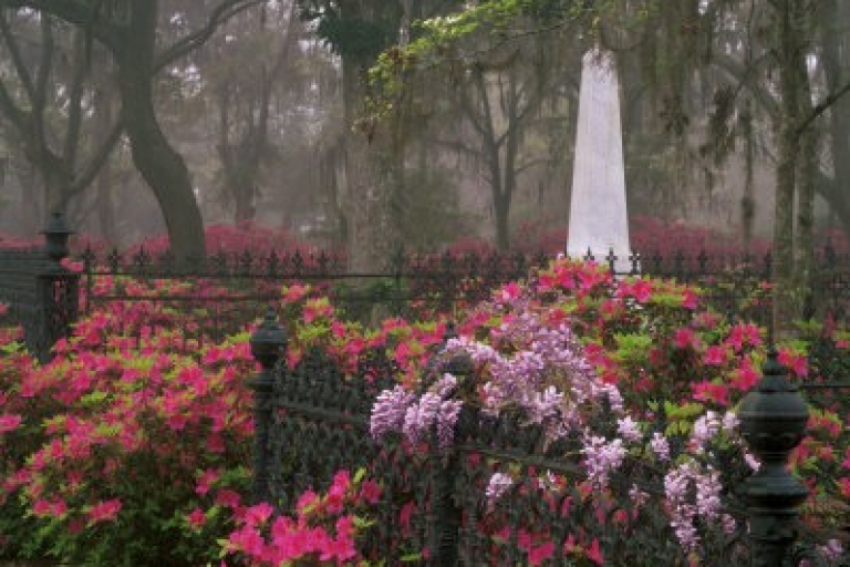 Savannah: cementerio de Bonaventure con Shannon de Scott