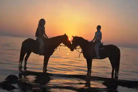 DJERBA: jazda konna (2 godz.).