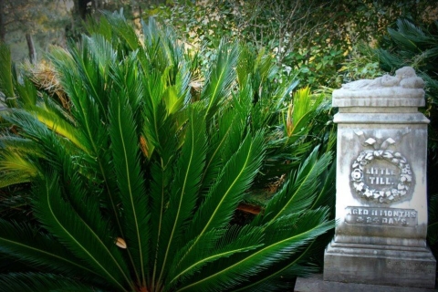 Savannah: Bonaventure Begraafplaats met Shannon Scott