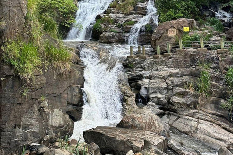 Ella: Ella Day Tour NineArch Bridge with Expert Female Guide Ella tour from Colombo, Negombo, Mt lavinia, Kalutara