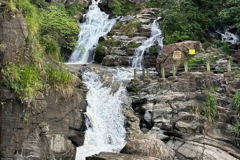 Ella: Ella Day Tour NineArch Bridge with Expert Female Guide Ella tour from Colombo, Negombo, Mt lavinia, Kalutara