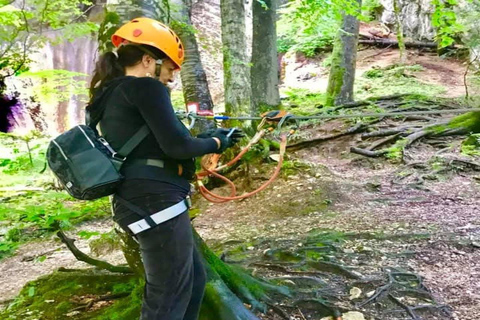 Brașov: Seven Ladders Canyon Guided Hike with Pickup
