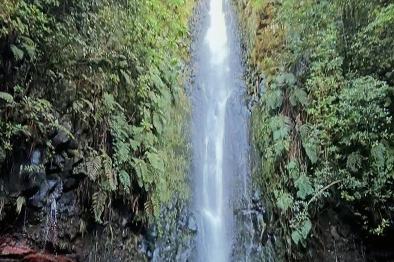 25 Fountains Waterfall Guided Hike with Transfer
