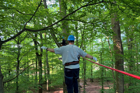 Kelkheim: Outdoor climbing experience in the forest ropes course with circuit and zip lines