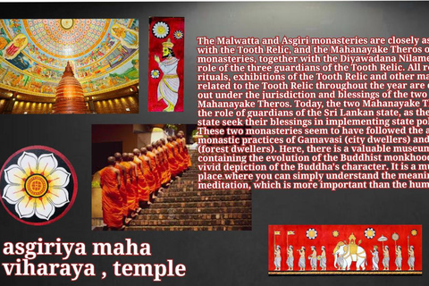 Kandy: City Tour with Temple of the Tooth & Tea Garden