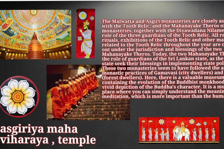 Kandy: City Tour with Temple of the Tooth & Tea Garden